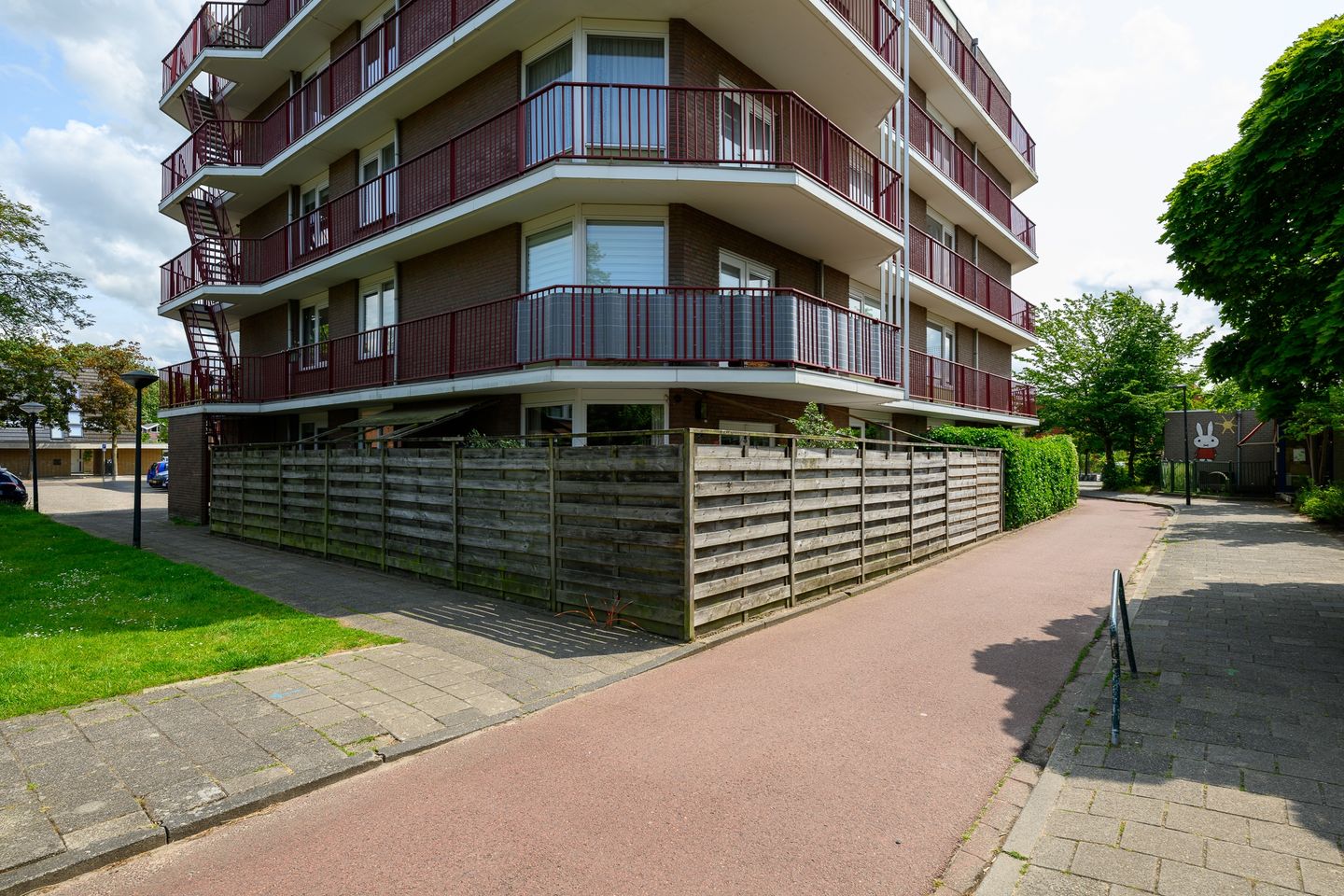 Foto 35 van Pluimgras 1