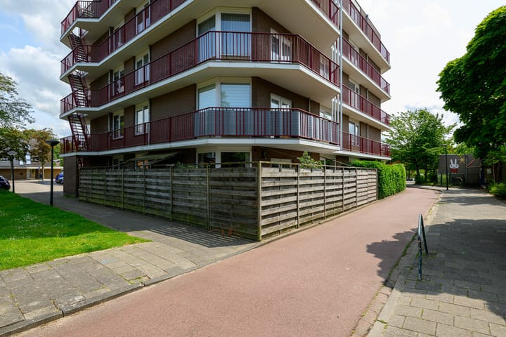 Foto 35 van Pluimgras 1