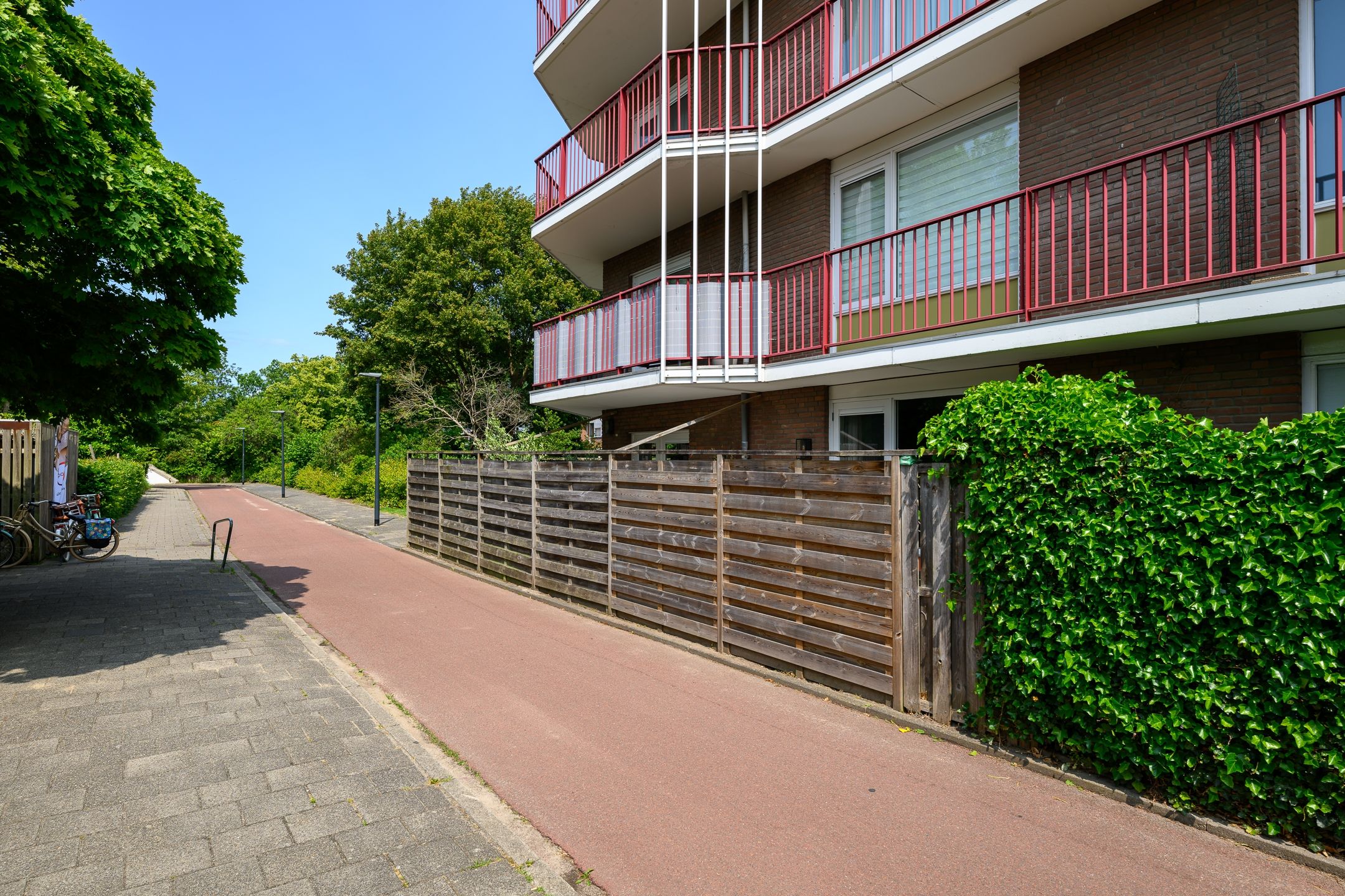 Foto 36 van Pluimgras 1