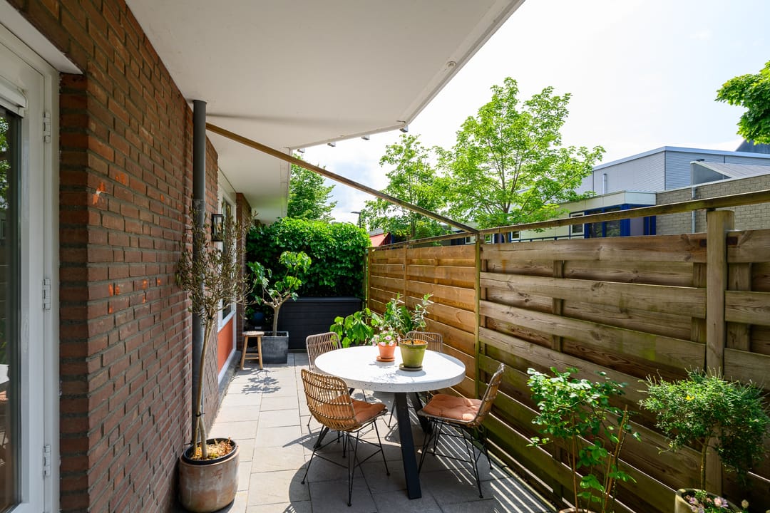 Foto 26 van Pluimgras 1