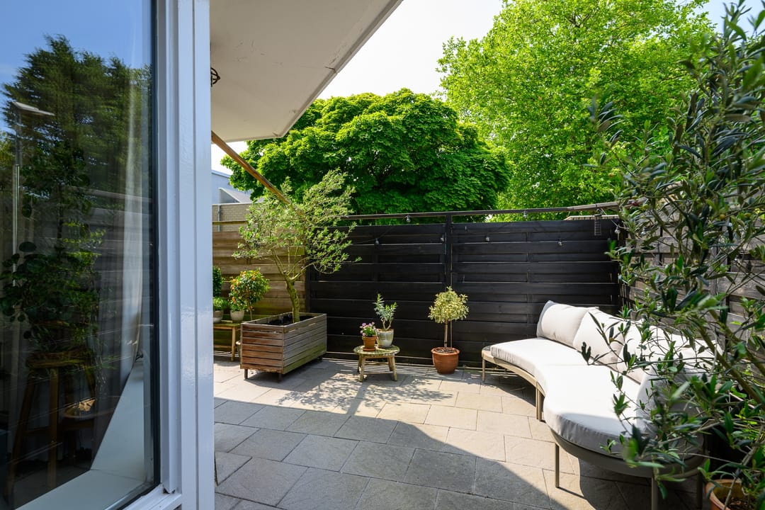 Foto 31 van Pluimgras 1