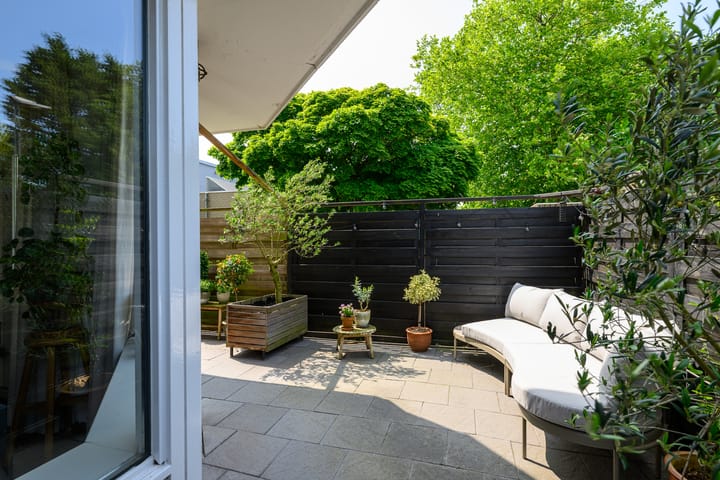 Foto 31 van Pluimgras 1