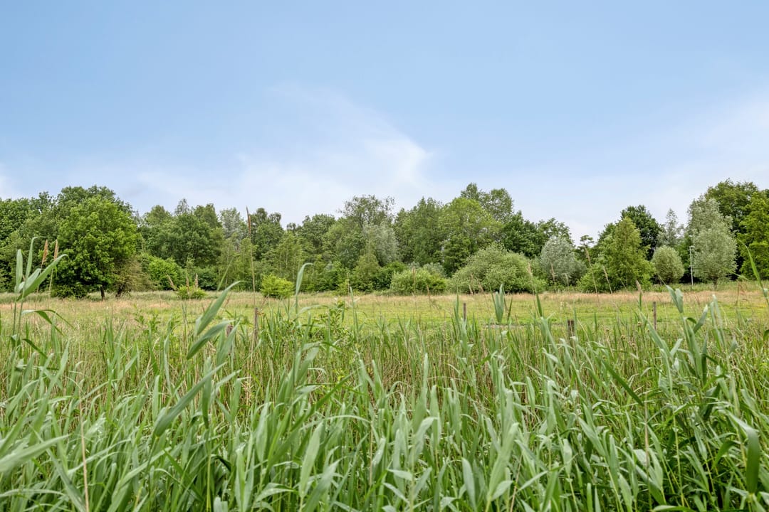 Foto 37 van Uitoord 101