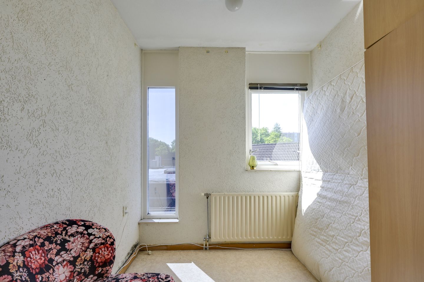 Foto 49 van Ratelaar 4