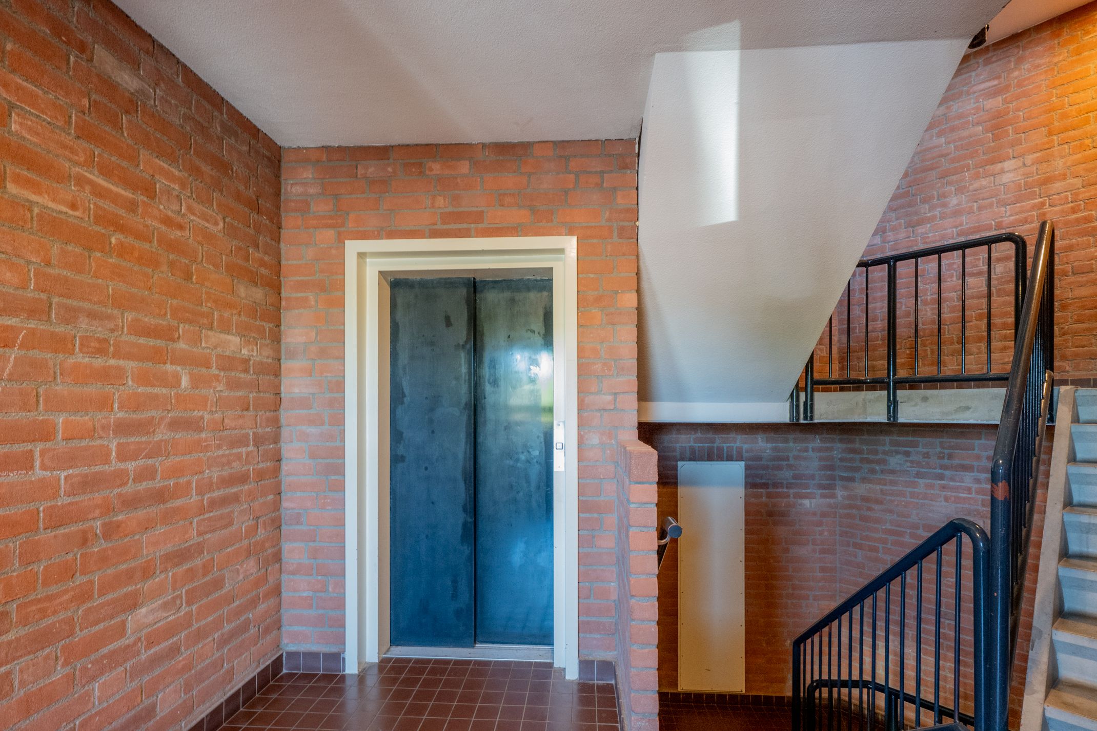 Foto 54 van Ratelaar 4