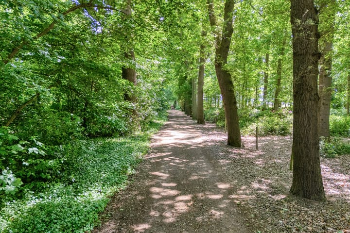 Photo 47 of Zwolseweg 62