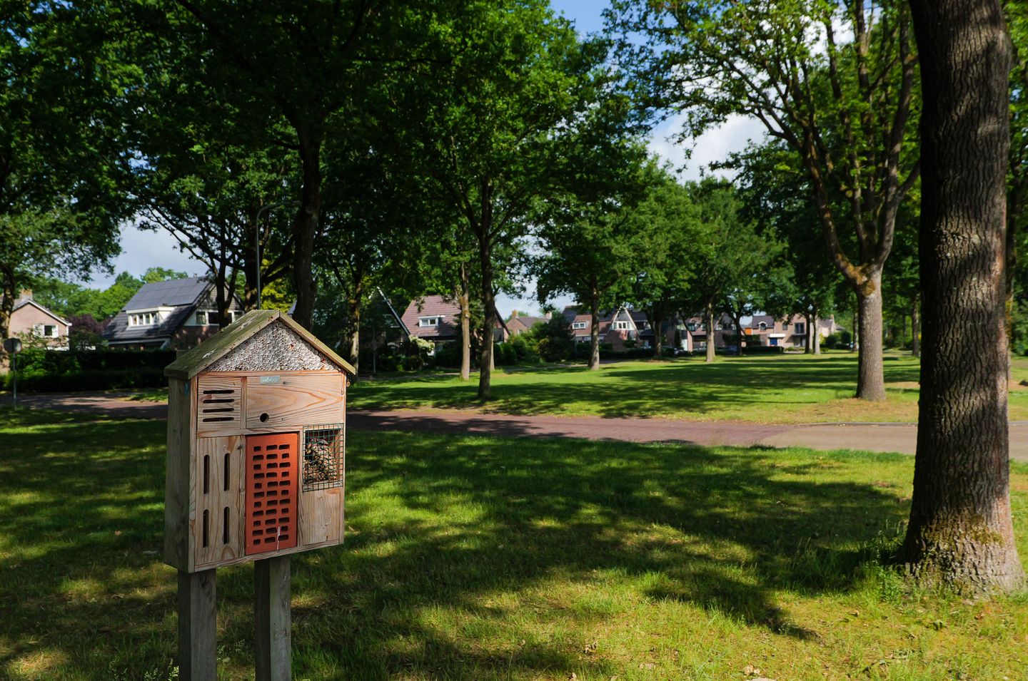 Photo 50 of Telgenkamp 17