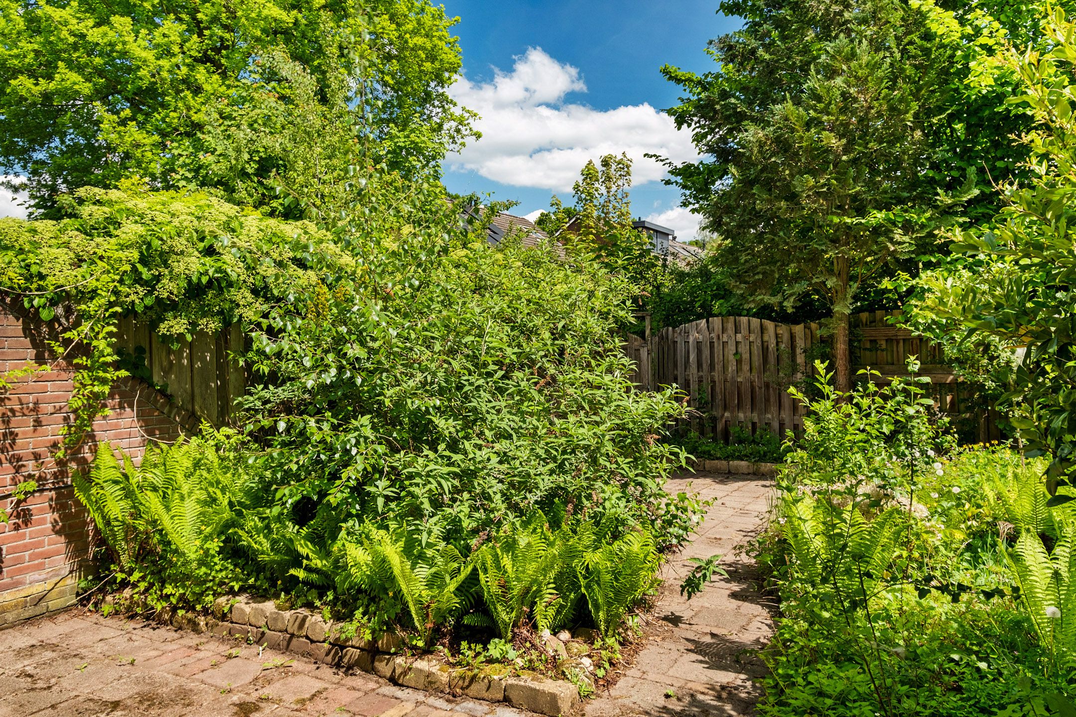 Foto 27 van Kolmschotlanden 89