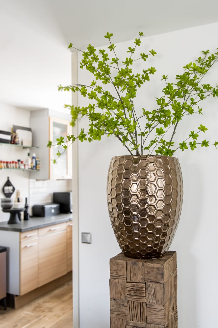 Foto 26 van Citadel 32