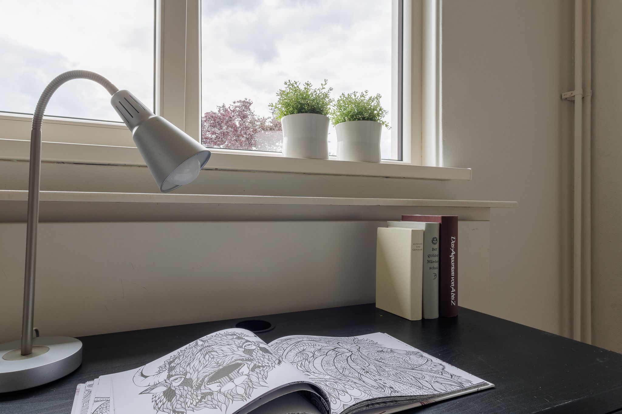 Photo 54 of Druwerbrink 384