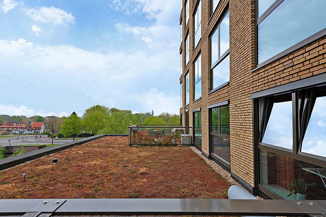 Foto 23 van De Bosuil 48