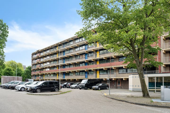 Foto 5 van Laveibos 55