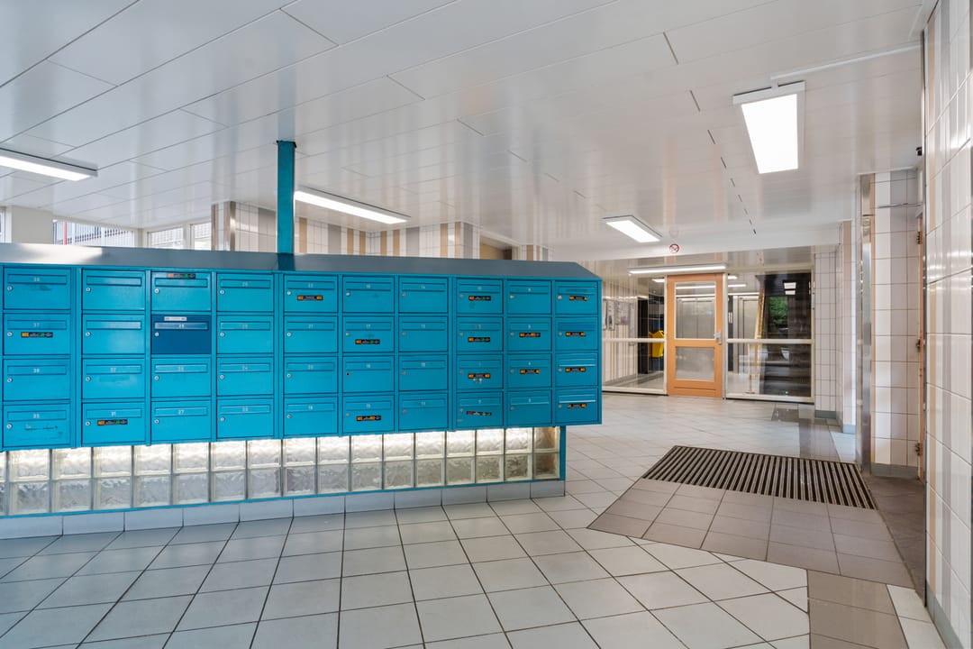 Foto 8 van Laveibos 55