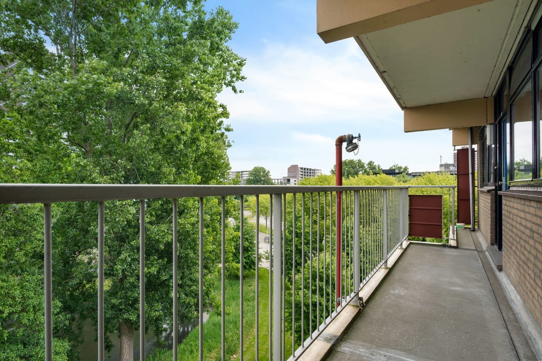 Foto 11 van Laveibos 55