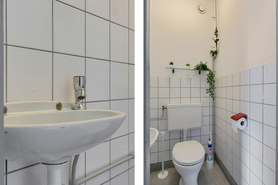 Foto 31 van Laveibos 55