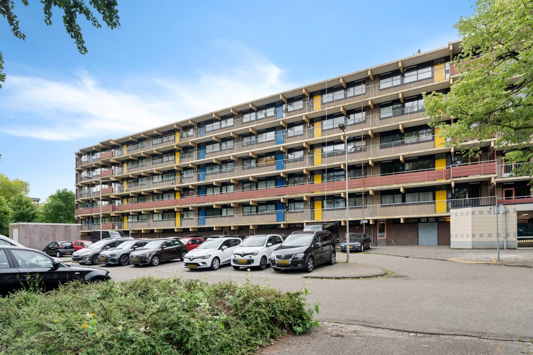 Foto 43 van Laveibos 55