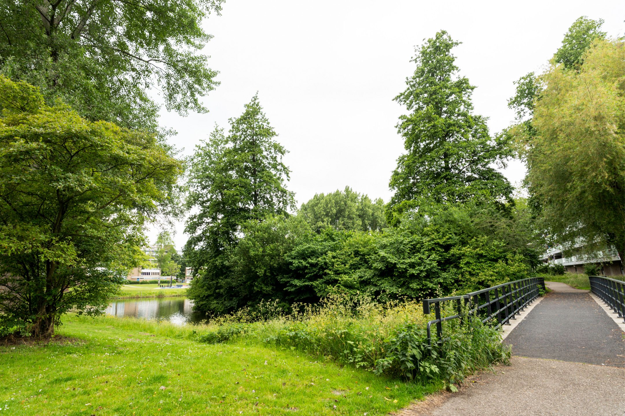 Foto 45 van Laveibos 55