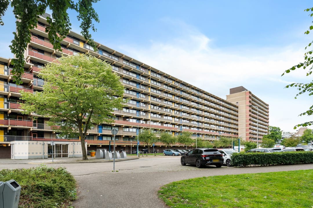 Foto 46 van Laveibos 55