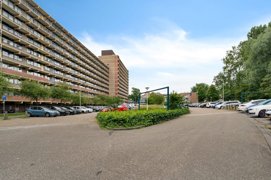 Foto 47 van Laveibos 55