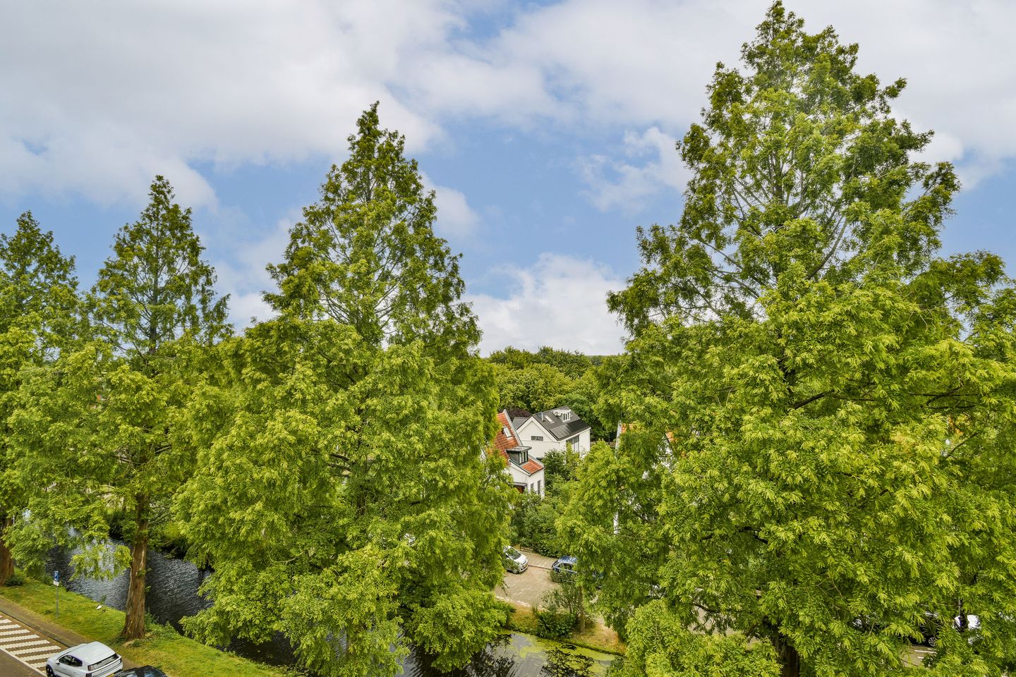 Photo 14 of Streksingel 121