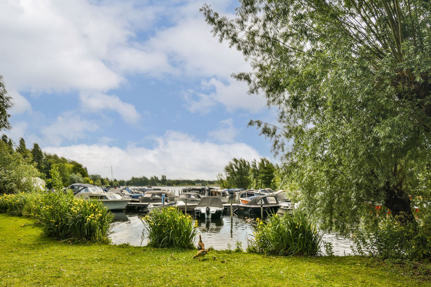 Photo 20 of Streksingel 121