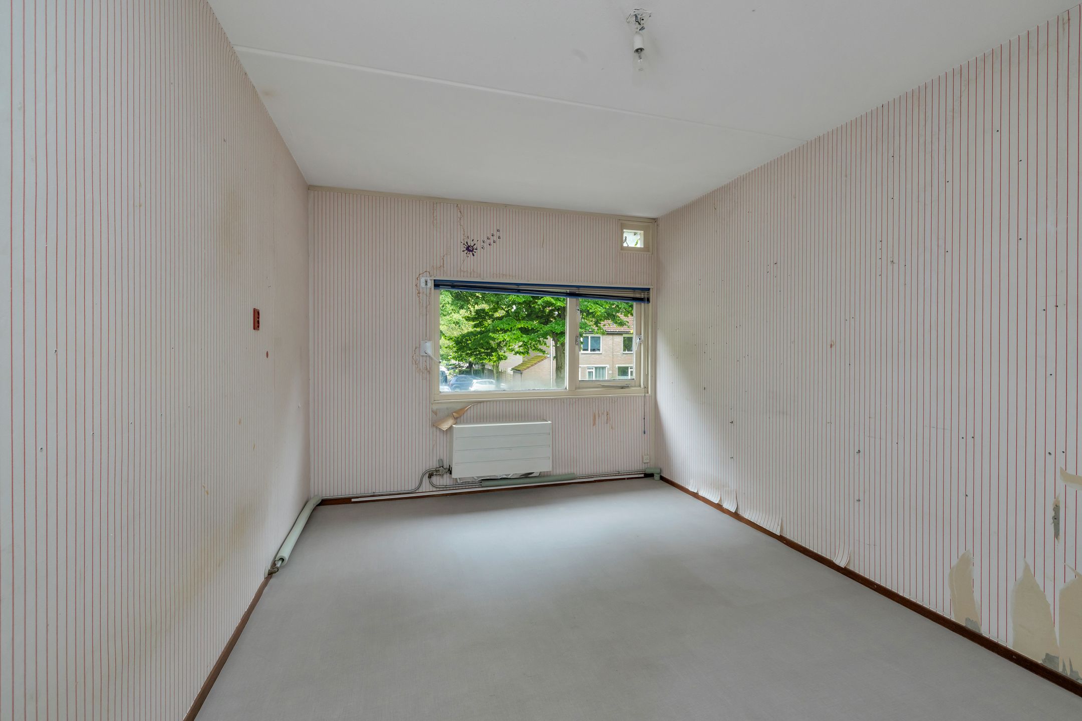 Foto 21 van Oliemolen 49