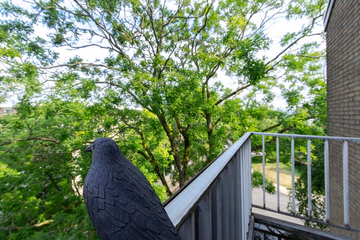 Foto 27 van Oranjeplein 27-C