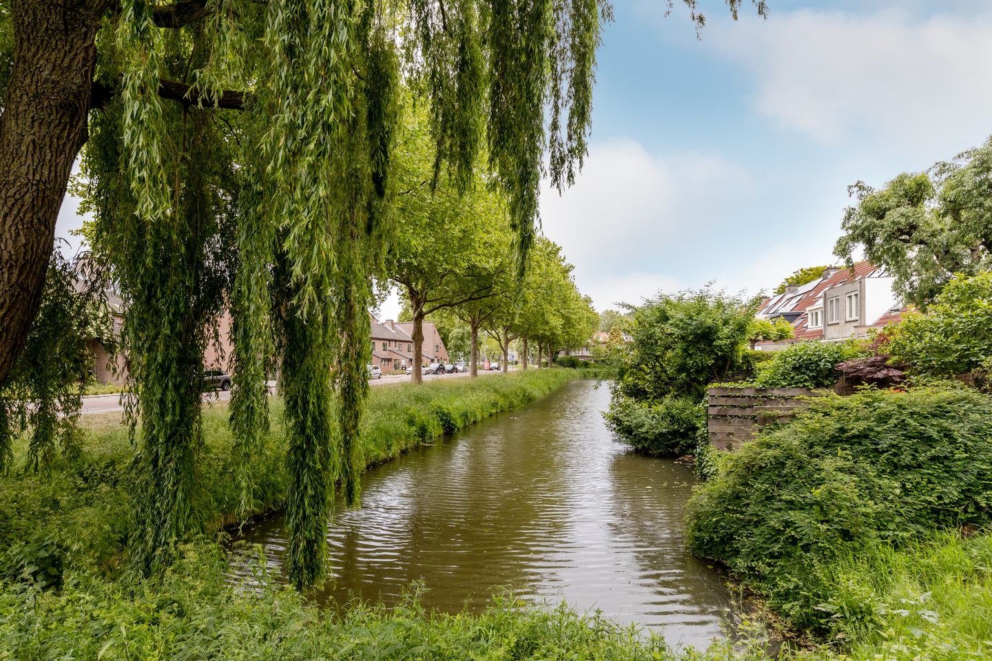 Photo 34 of Hartschelp 10