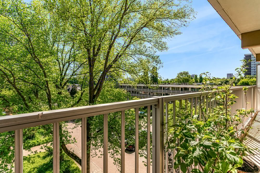 Foto 26 van Westelijk Halfrond 441