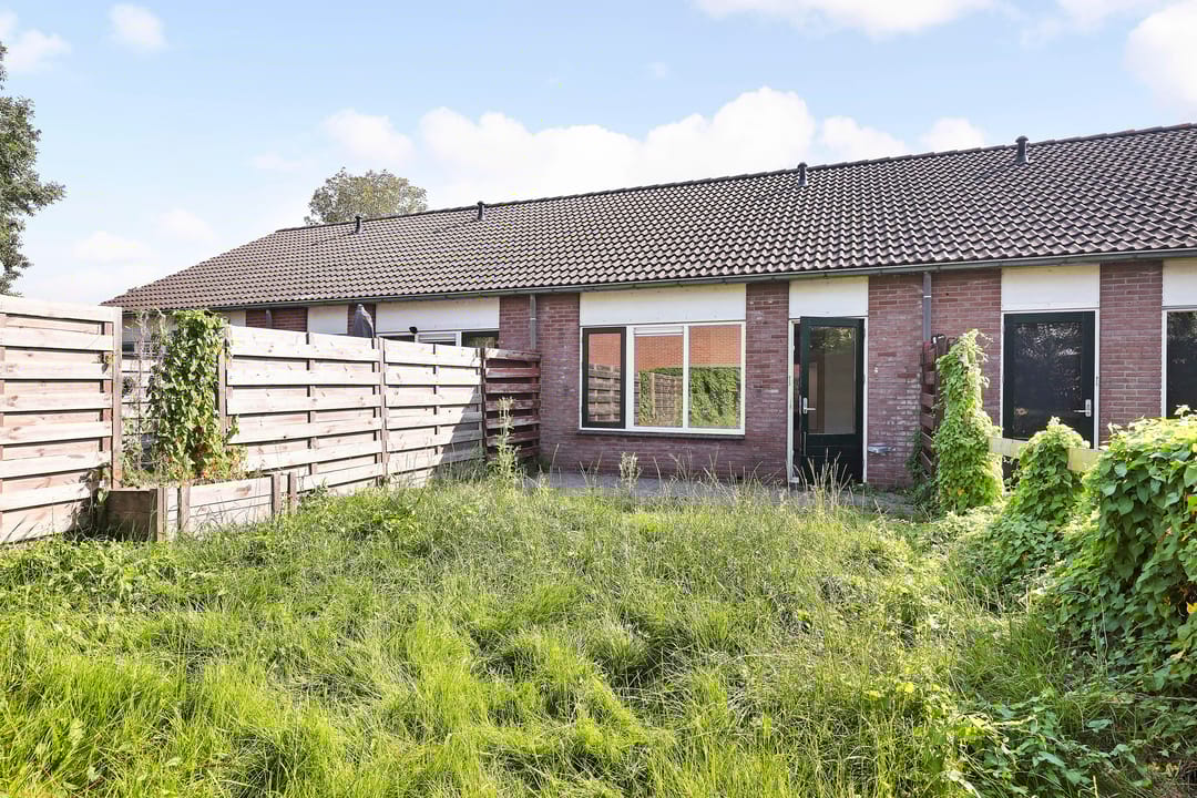 Foto 2 van Eendenkooi 16