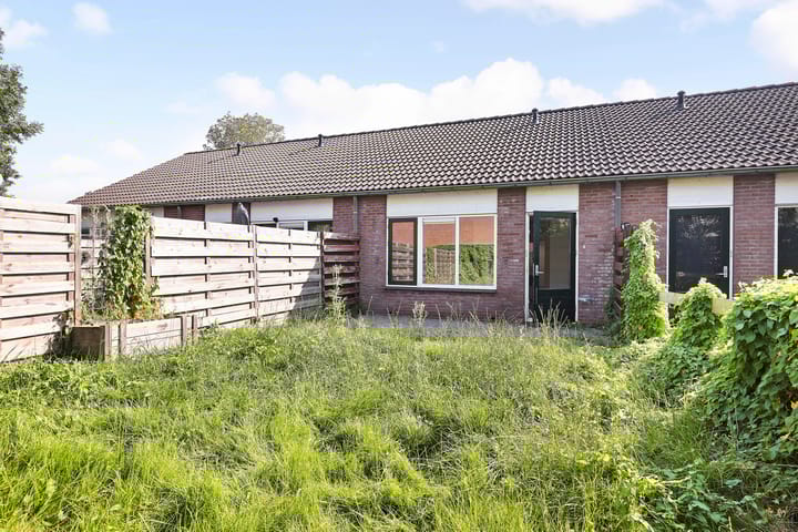 Photo 2 of Eendenkooi 16