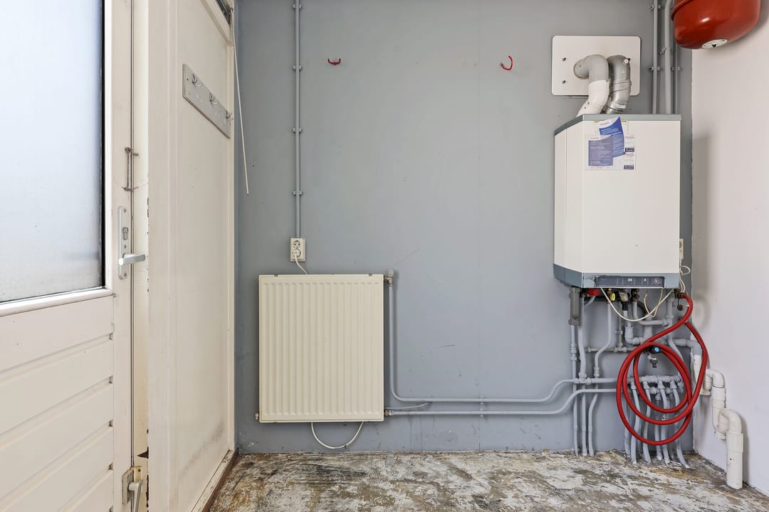 Foto 16 van Eendenkooi 16