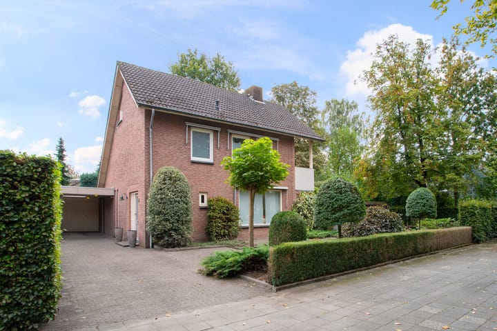 undefined main image