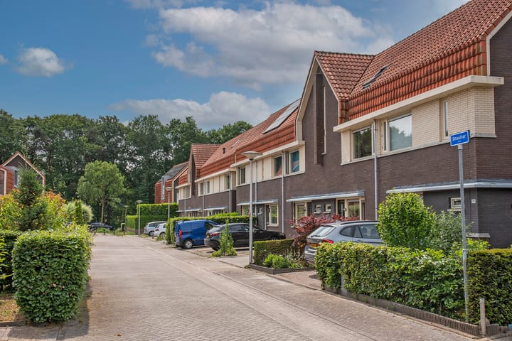 Foto 5 van Draaitor 17