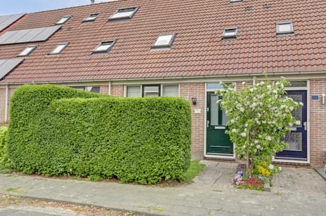 undefined main image