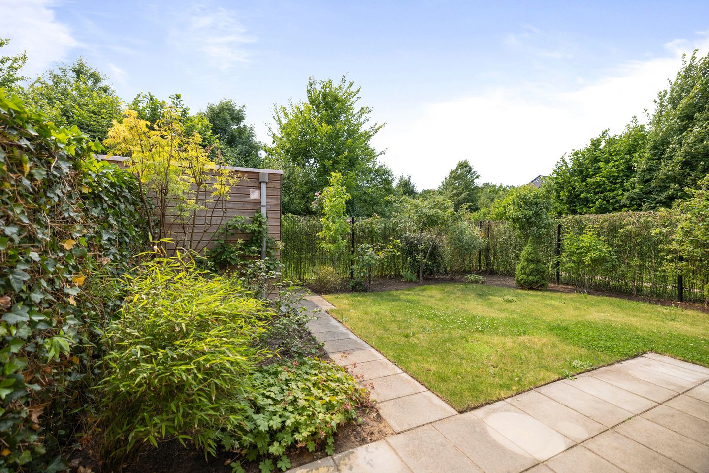 Foto 25 van Bonenakker 4