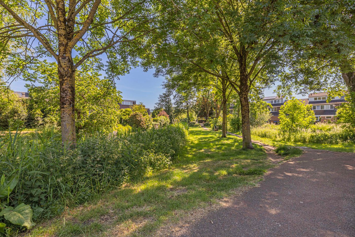 Photo 35 of Fazantenkamp 443