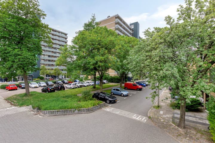 Foto 2 van Stadhoudersring 432