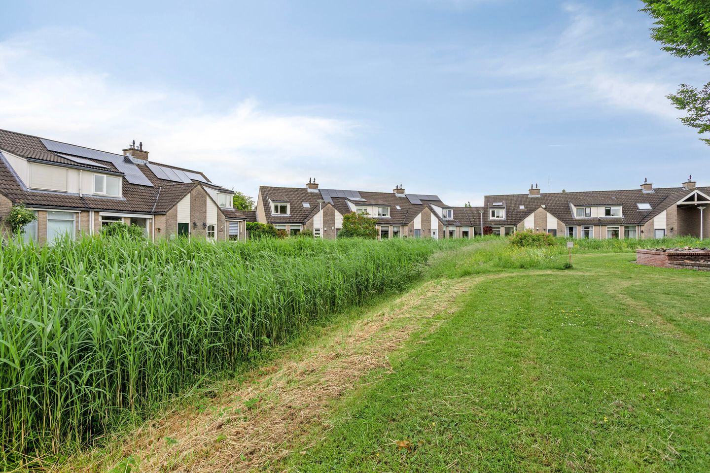 Foto 5 van Ommedracht 23