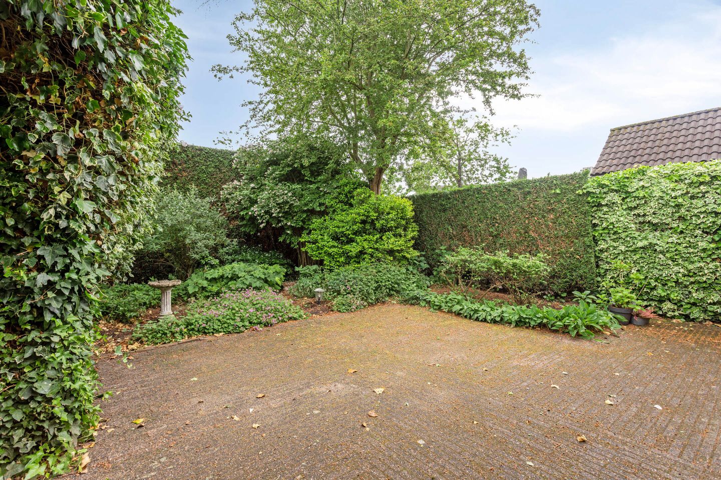 Foto 29 van Ommedracht 23