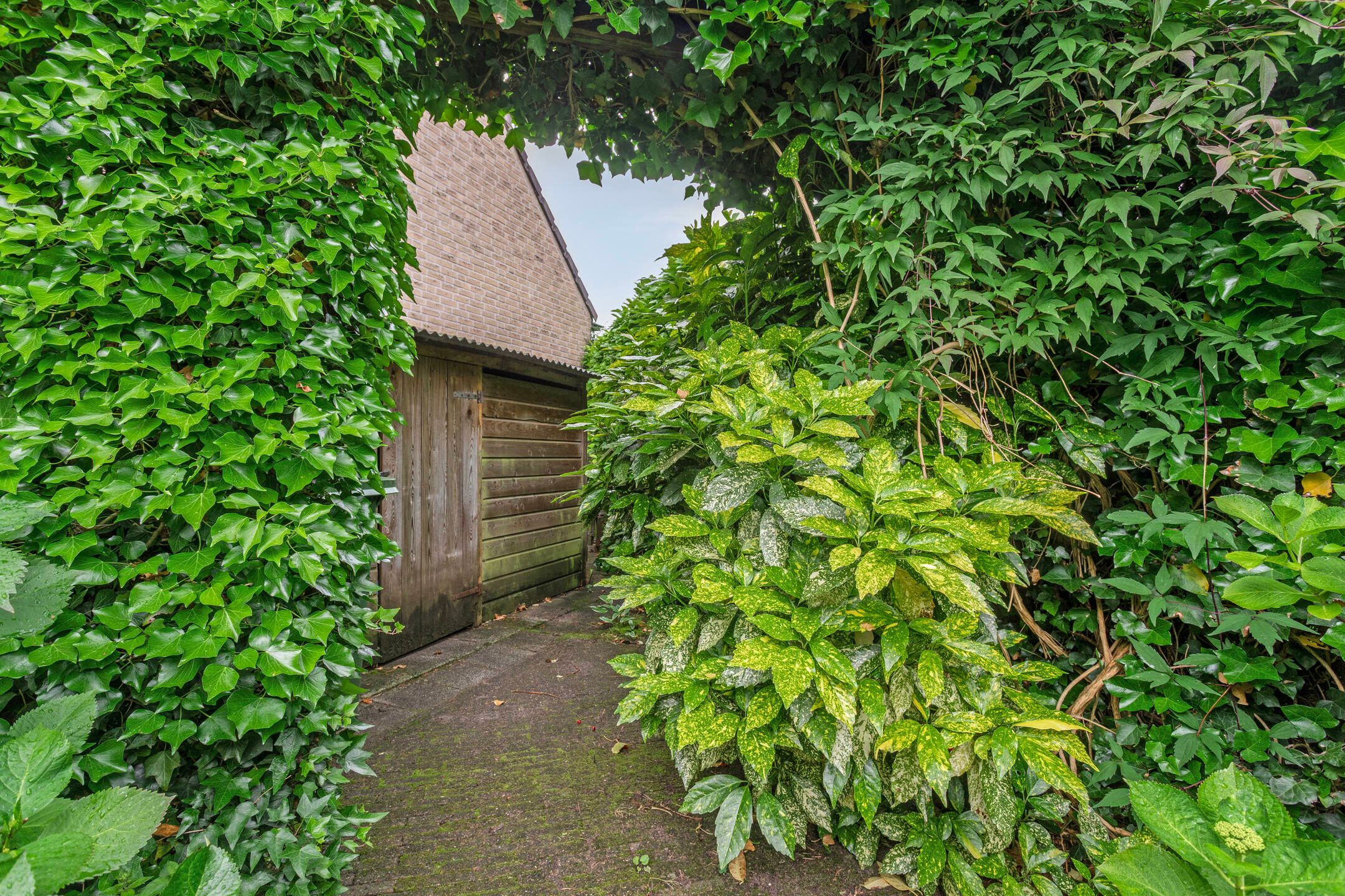 Foto 33 van Ommedracht 23