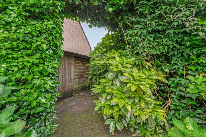 Foto 33 van Ommedracht 23