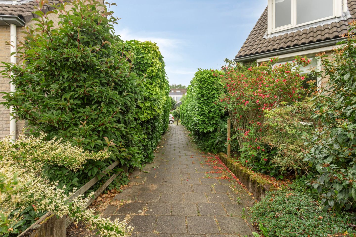 Foto 34 van Ommedracht 23