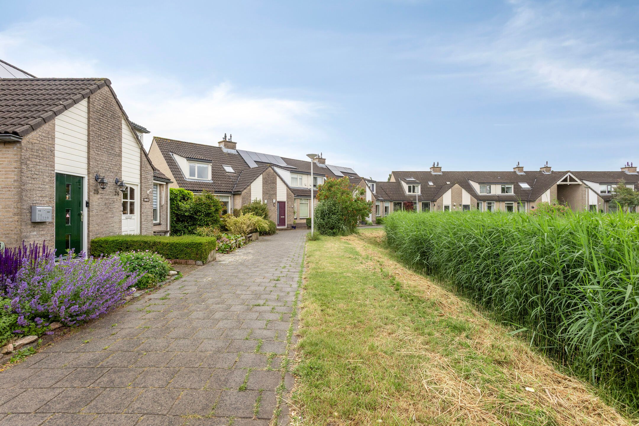 Foto 6 van Ommedracht 23