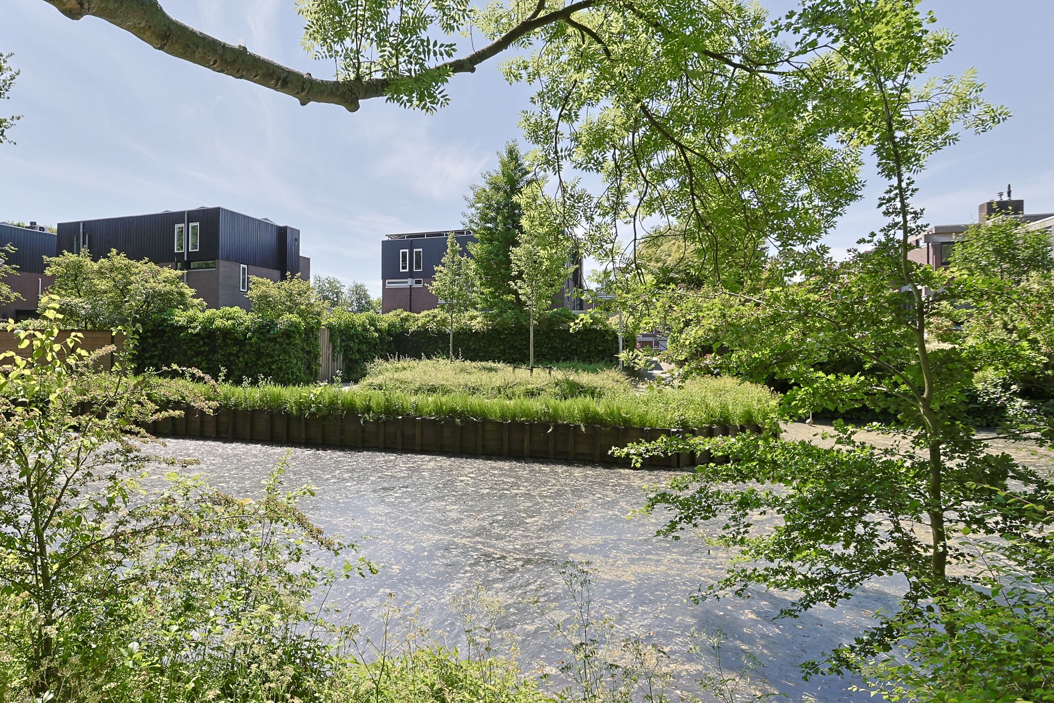 Foto 78 van Groenoord 404