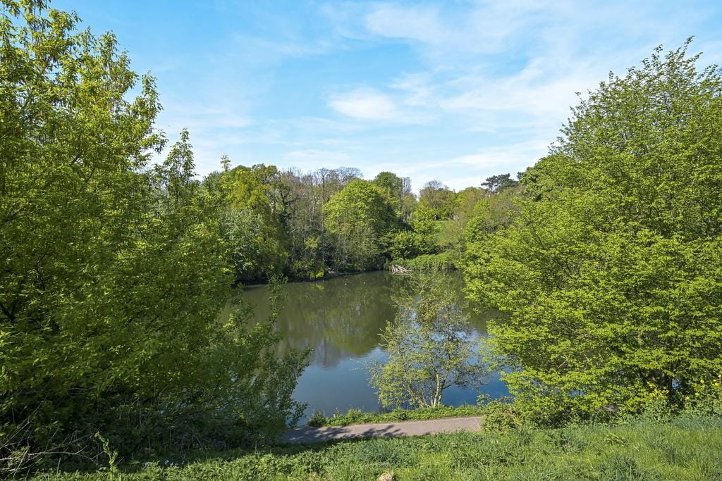 Foto 50 van Kanaalweg 59