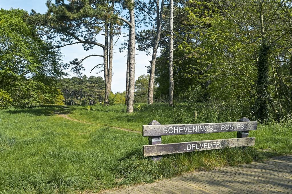 Foto 51 van Kanaalweg 59