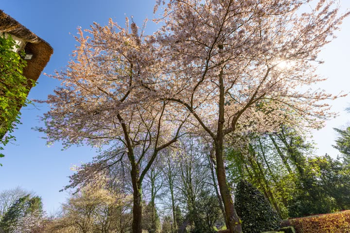 Foto 38 van Noolseweg 16