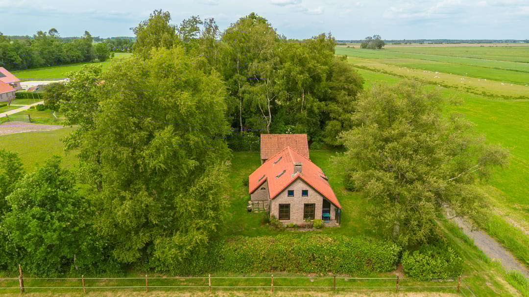 Foto 8 van Hegedyk 36