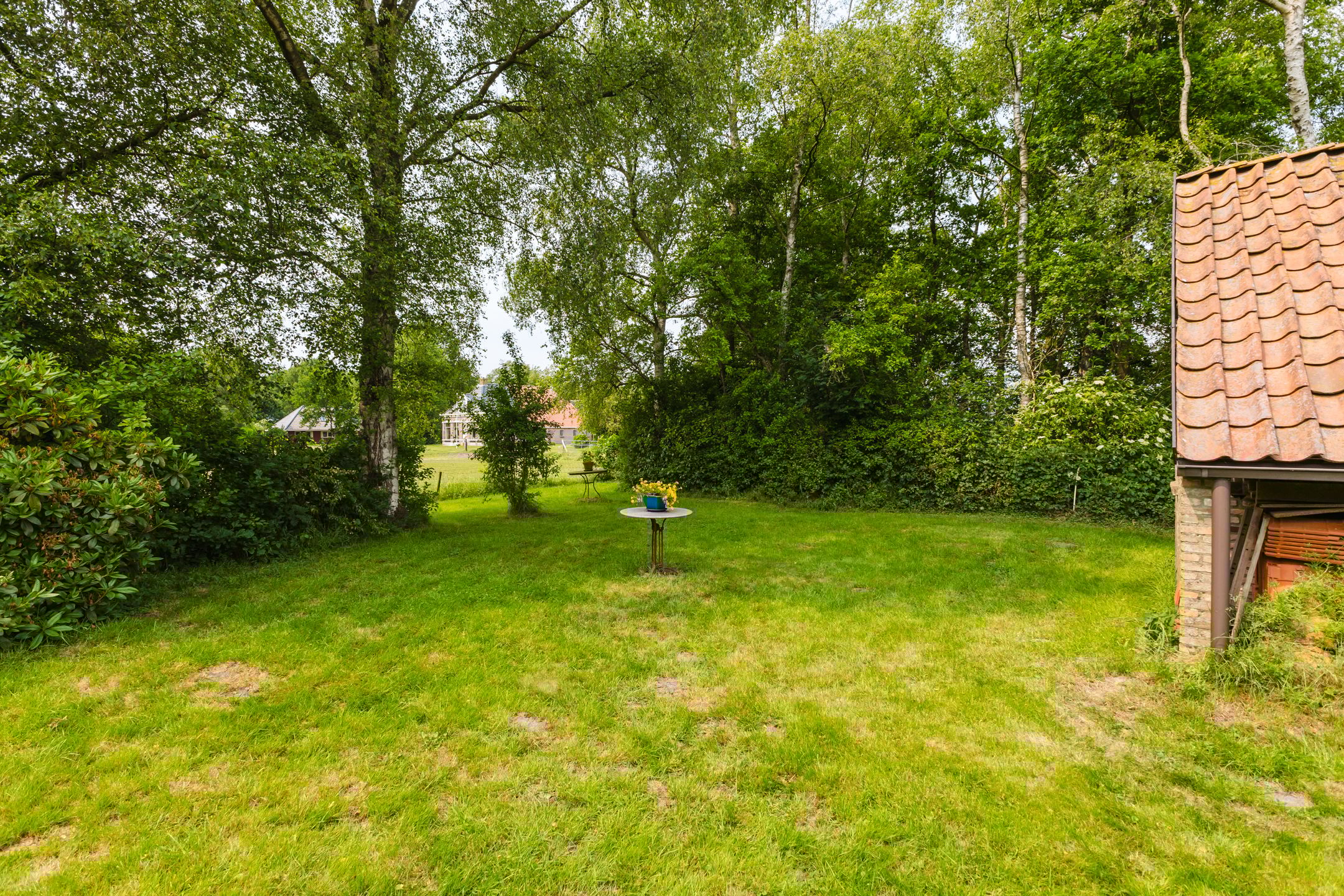 Foto 18 van Hegedyk 36